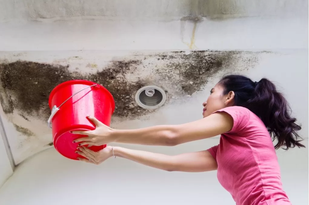 Vì sao nhà bị thấm vào mùa mưa?